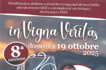In Vigna Veritas: otto anni di vini artigianali e cultura a Vigliano Biellese