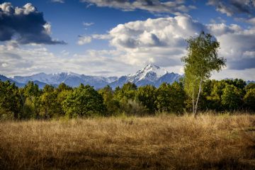 Seconda Passeggiata di Primavera: Escursione in Baraggia