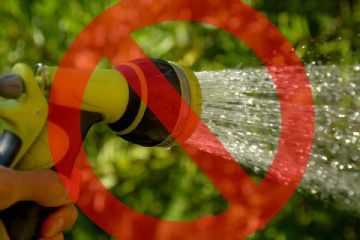 Ridurre drasticamente il consumo d’acqua! L'appello della Sindaca, Cristina Vazzoler